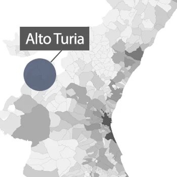 ALTO-TURIA-1