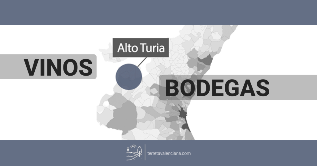 Vinos y bodegas del Alto Turia, Valencia. Descubre la Terreta Valenciana.