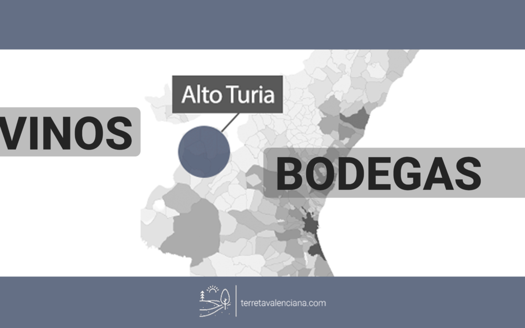 Vinos y bodegas del Alto Turia, Valencia. Descubre la Terreta Valenciana.