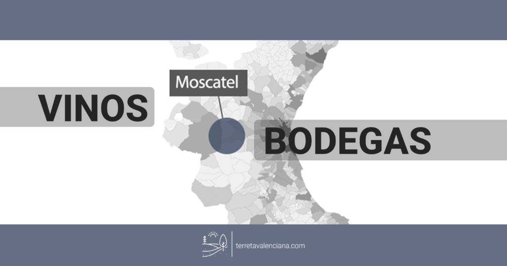 Vinos moscatel y bodegas de la Terreta Valenciana