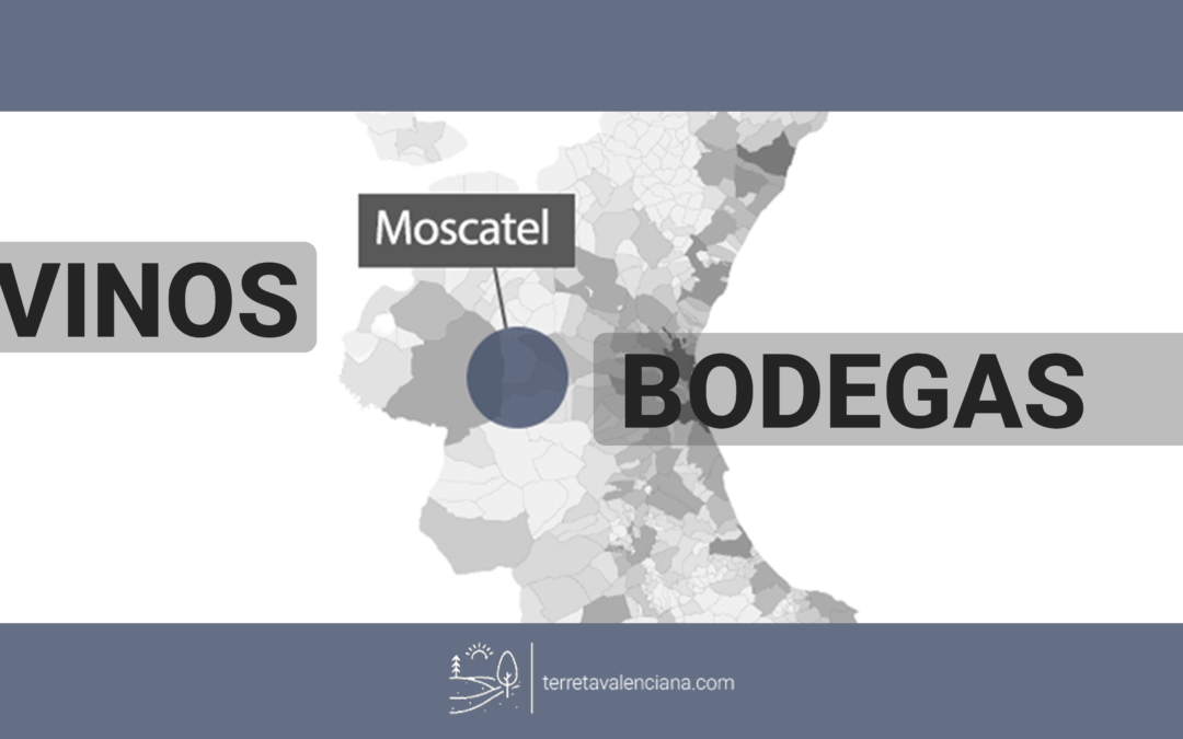 Vinos moscatel y bodegas de la Terreta Valenciana