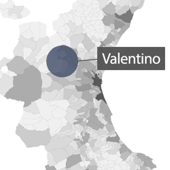 VALENTINO-1