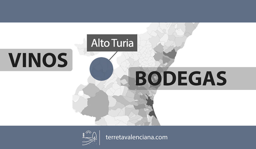 La Zona del Alto Turia, vinos y bodegas