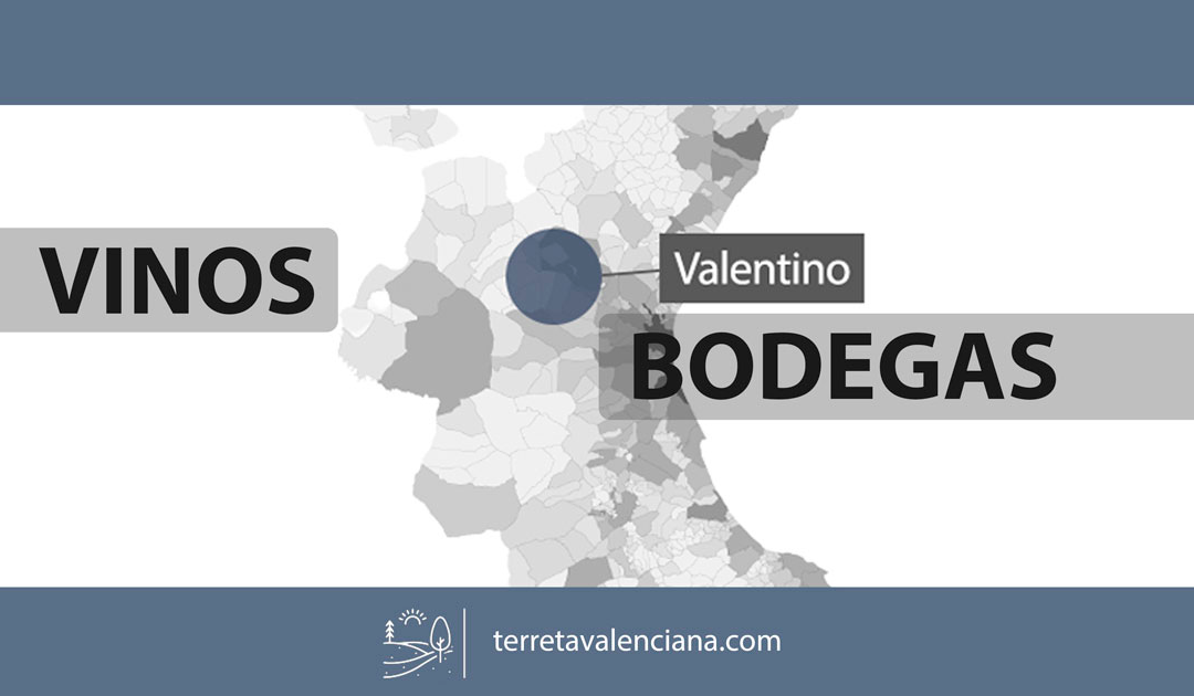 La Zona de Valentino, vinos y bodegas