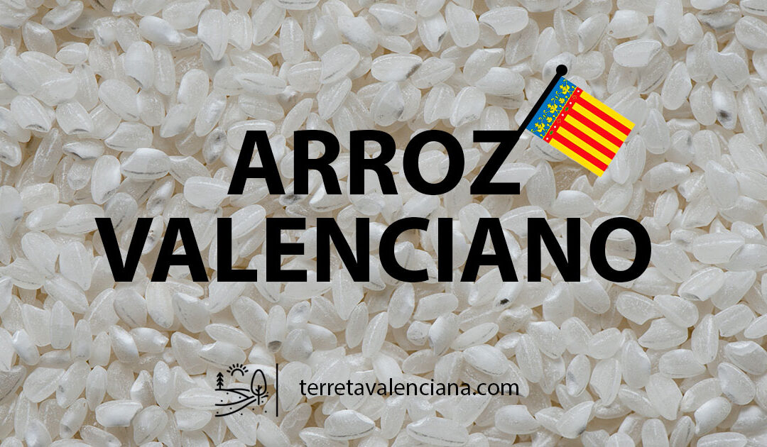 El Arroz valenciano