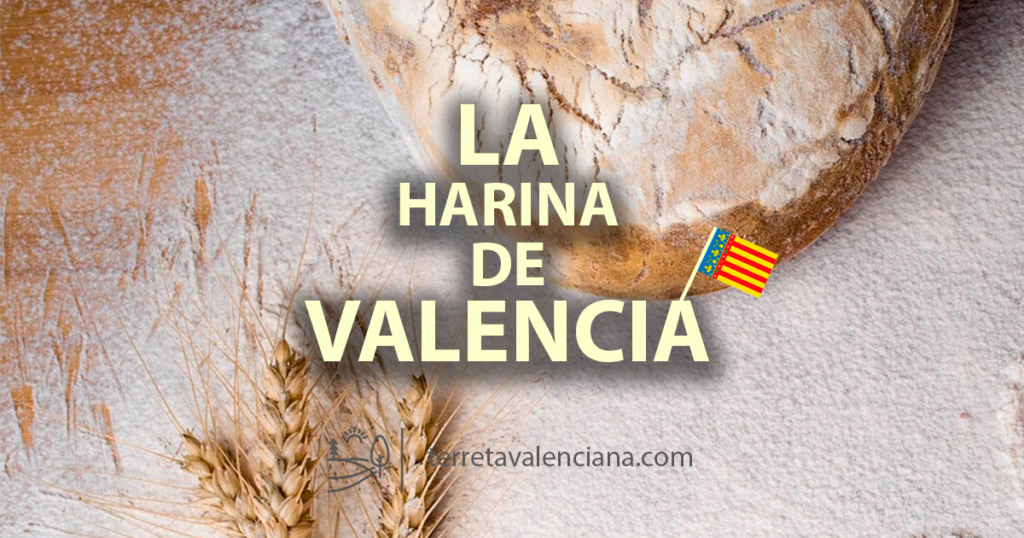 La harina de la comunidad valenciana, tipos y propiedades