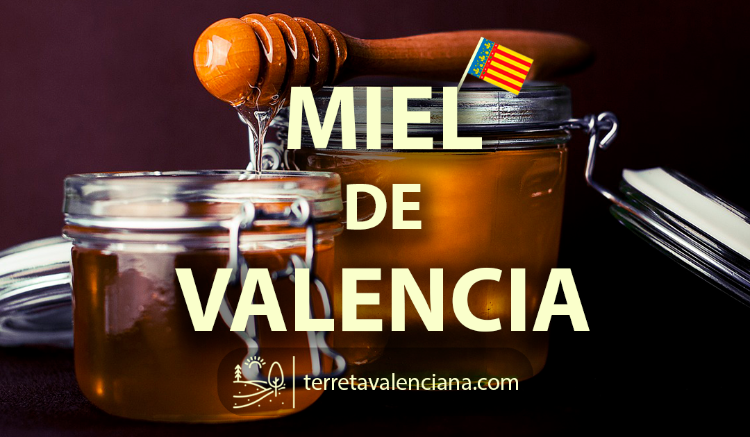 La Miel de Valencia, variedades y propiedades