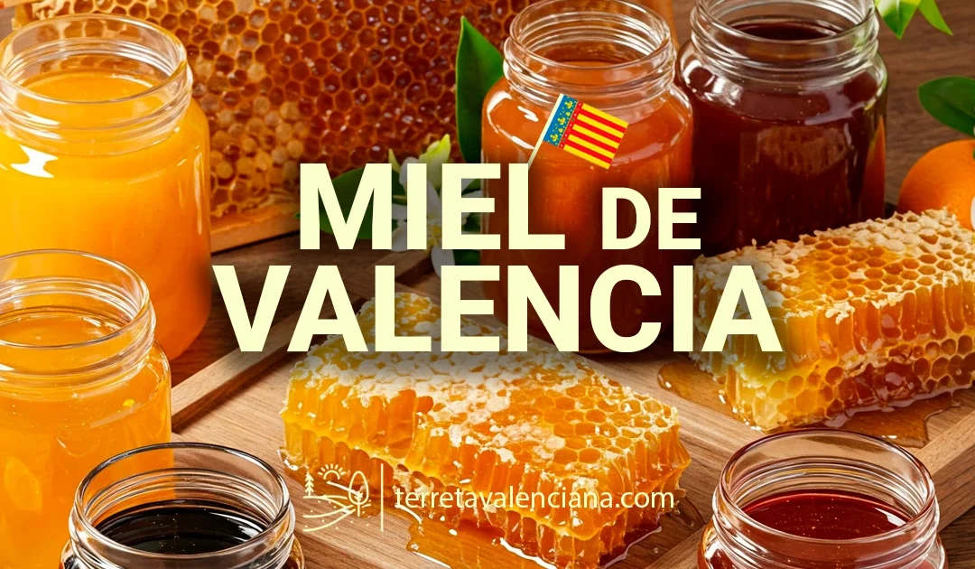 La Miel de Valencia, variedades y propiedades