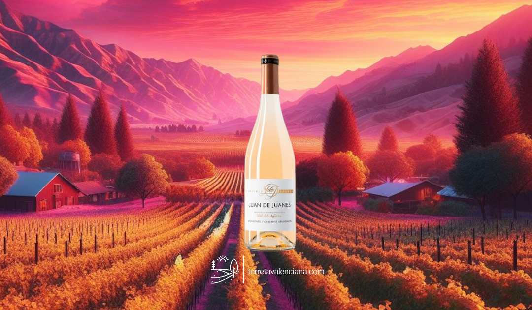 Vino rosado Juan de Juanes, Bodega La Viña de Anecoop (Fuente la Higuera)