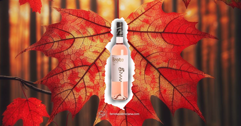 Vino rosado Brote Bodega Los Pinos Fontanars dels Alforins