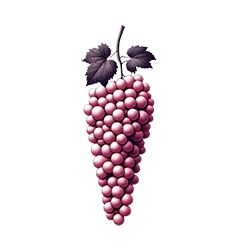 racimo uvas vino rosado