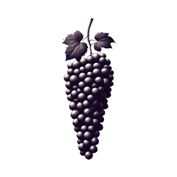 Racimo de uva vino tinto