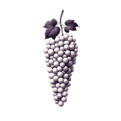 racimo uvas vino blanco