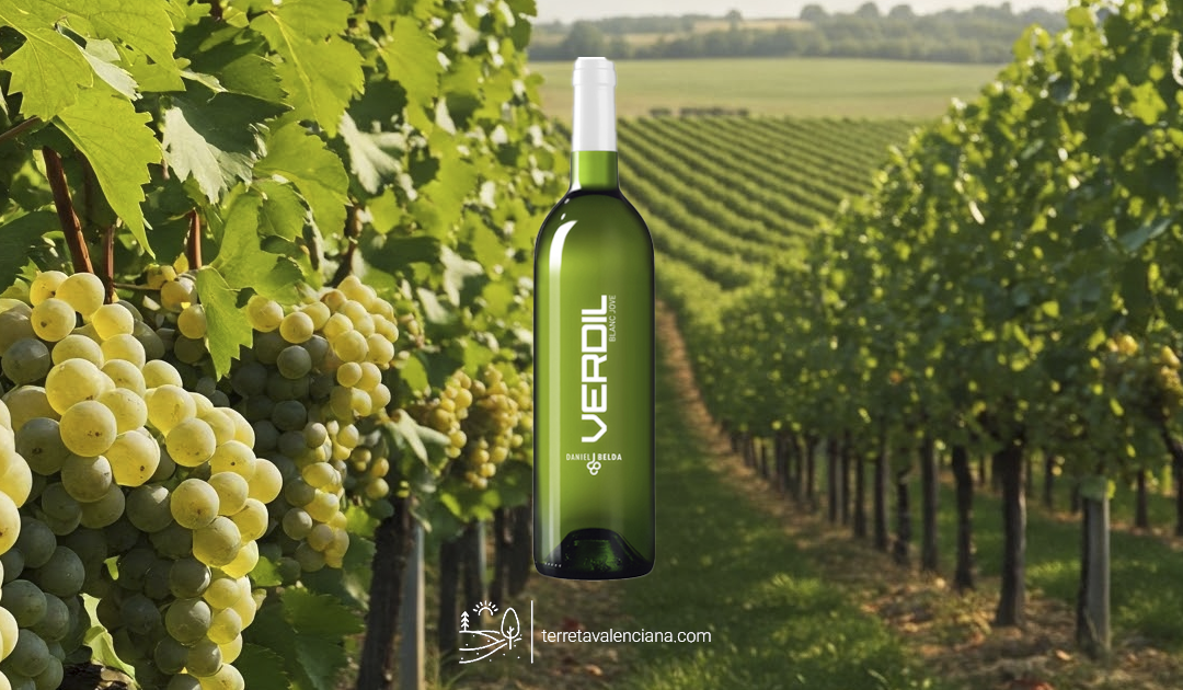 Vino Blanco Verdil Daniel Belda Fontanars del Alforins