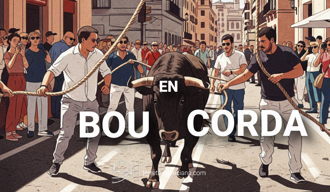 El Bou en Corda de Valencia: Tradición del Toro Ensogado