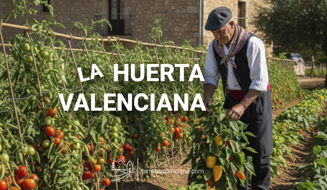La Huerta Valenciana: Un legado agrícola y cultural